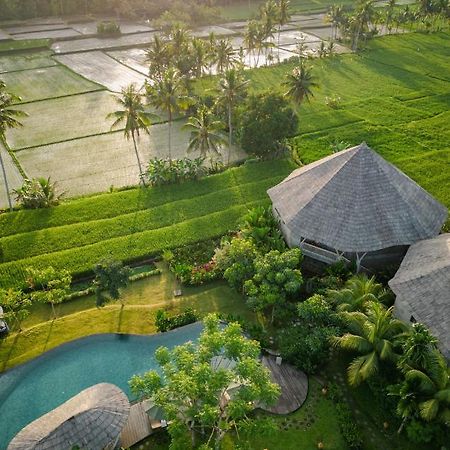 Thewakanda Resort A Pramana Experience Ουμπούντ Εξωτερικό φωτογραφία