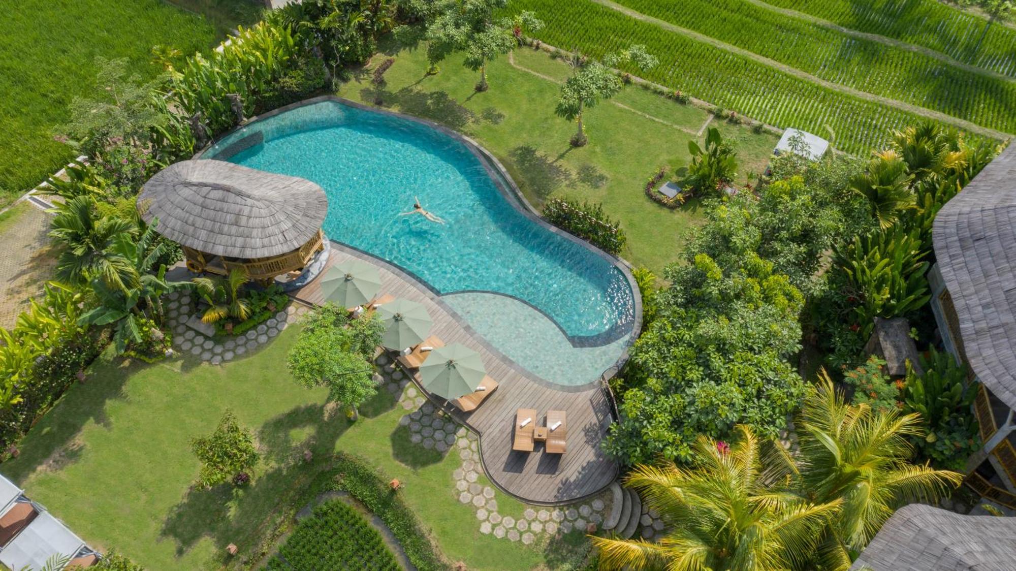 Thewakanda Resort A Pramana Experience Ουμπούντ Εξωτερικό φωτογραφία